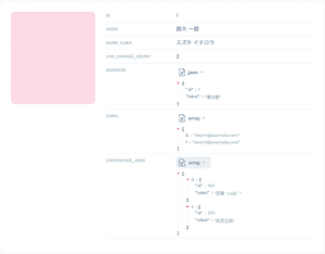document mini dashborad
